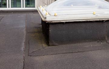 disadvantages of Pennal flat roofs